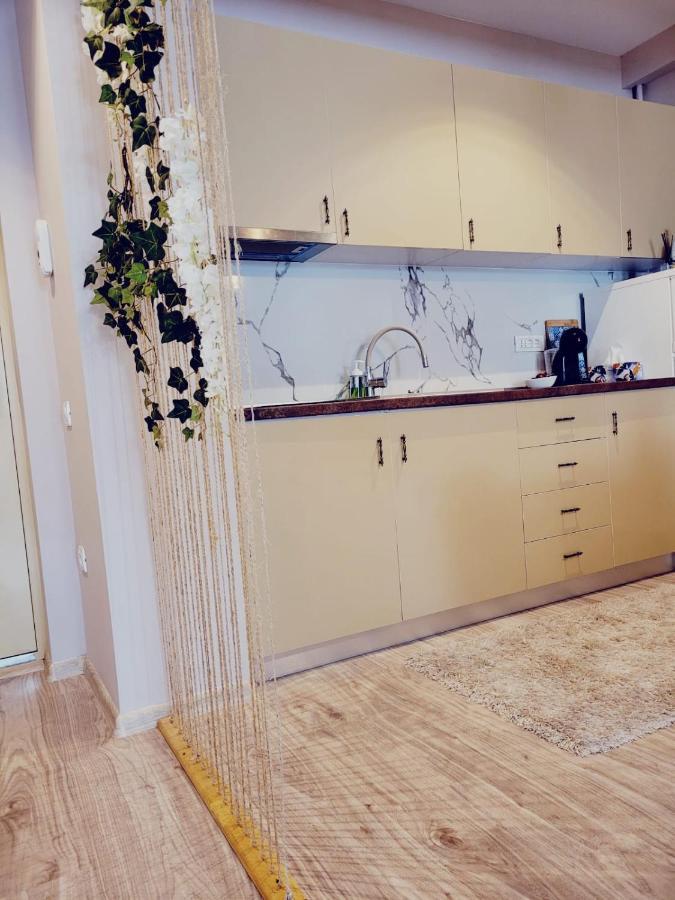 Vega Apartment By Moonlight Mamaia Exteriör bild